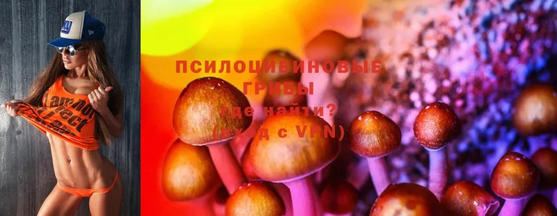 Галлюциногенные грибы Magic Shrooms  omg рабочий сайт  Оленегорск 