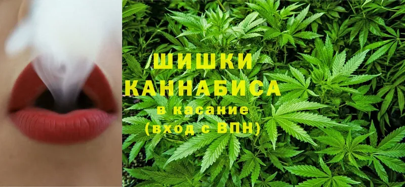 Конопля White Widow  кракен сайт  Оленегорск 